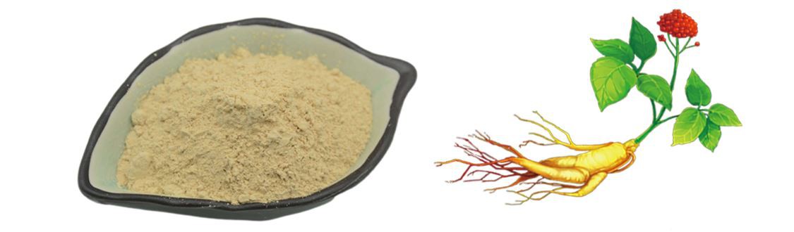 Panax Ginseng Extract Powder with 80% Ginsenoside by Botanical Cube Inc.