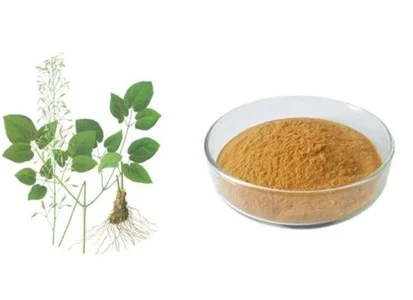 Epimedium Powder Epimedium Powder