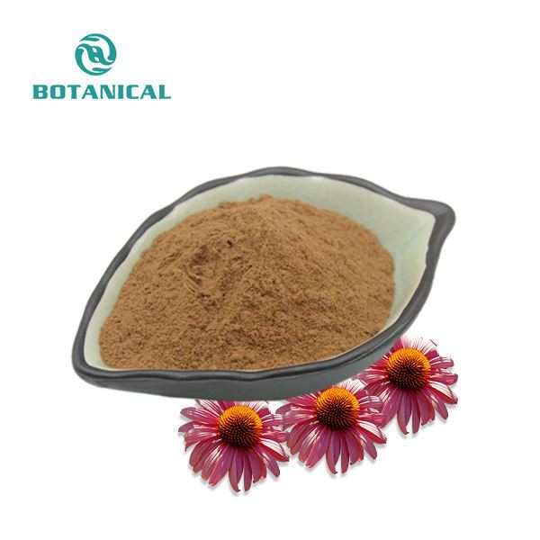 Echinacea pururea এক্সট্র্যাক্ট পাউডার