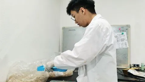 আমাদের এক্সট্র্যাক্ট পাউডার ক্যাপসুল শেল প্যাকেজিং