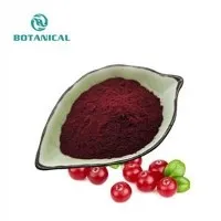 ক্র্যানবেরি এক্সট্র্যাক্ট পাউডার