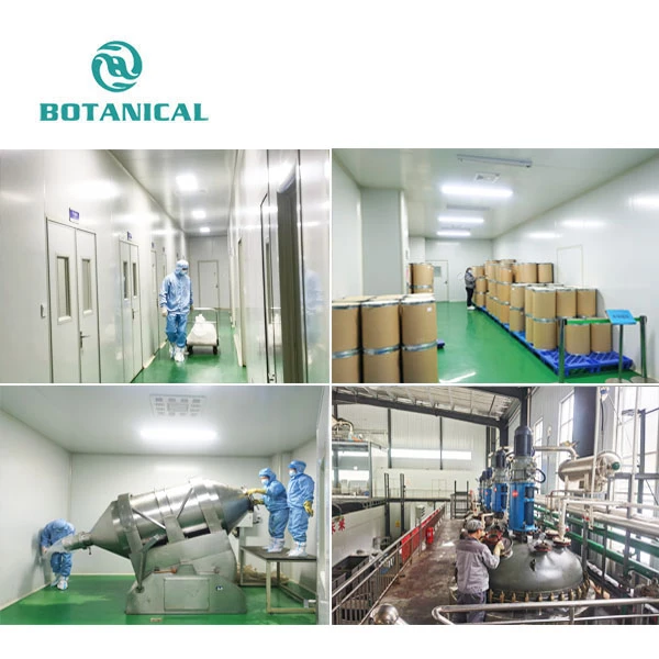 Yucca Extract Powder