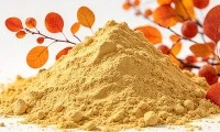 কোনটি ভাল: ফিসেটিন বা কোয়েরসেটিন?